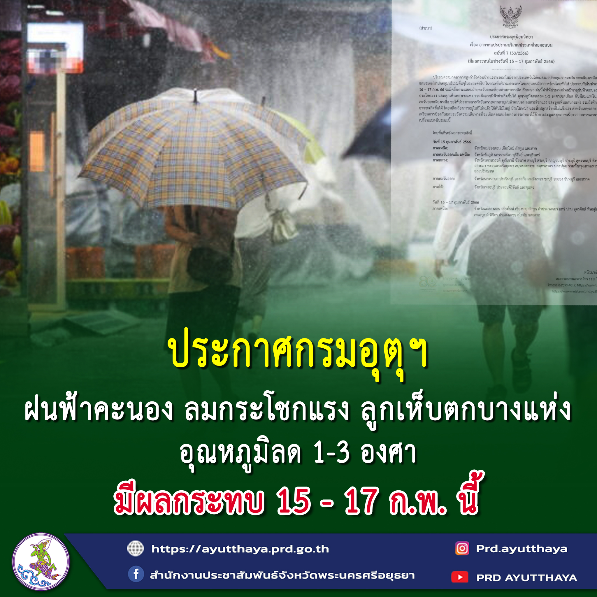 My Image 33